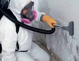 Best Mold Removal for HVAC Installations  in Waipio, HI